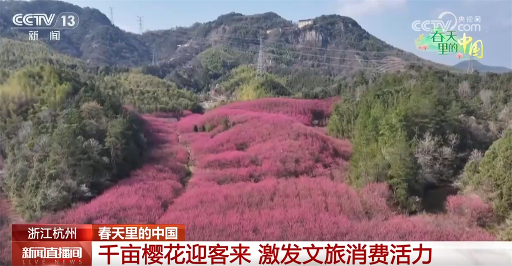 春天里的我国万物繁荣绘就秀丽画卷 特征文旅展“新”颜