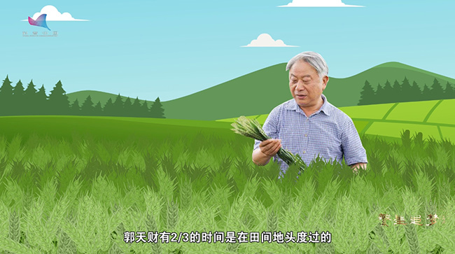 2024年10月全国居民消费价格同比上涨0.3%
