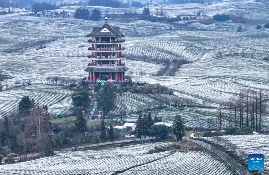 Scenery of snow