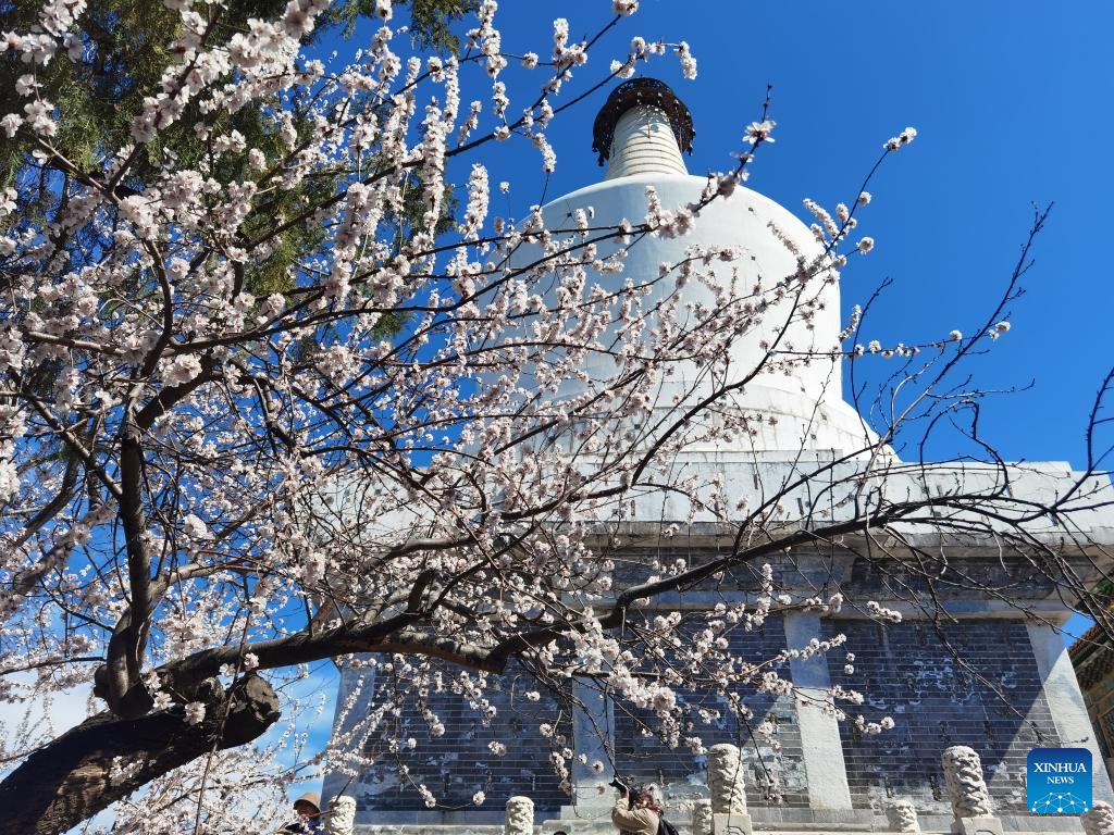 堪比春运抢票！海底捞火锅已接跨年订餐超20万桌