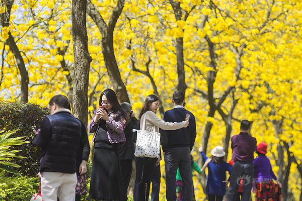 天津春节假期高速充电量同比增超四成 电力多措保证绿色行