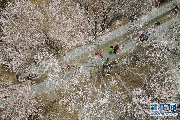 药康生物：中国“模式小鼠”加速“出海”