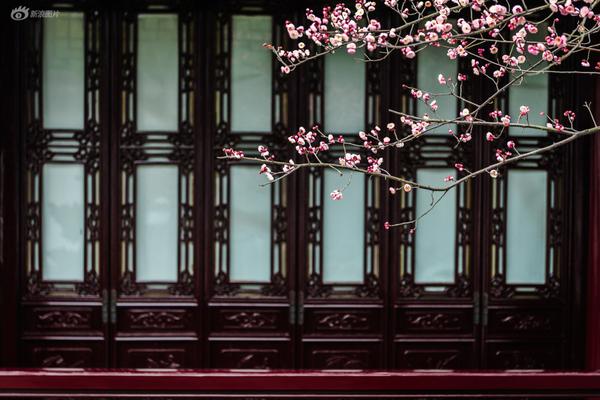 回顾习主席讲述的秘密故事｜秘鲁一家的中国爱情