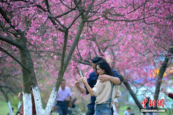 妙可蓝多2025年一季度业绩开门红，营收净利双增长