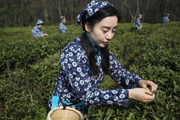 向实向新 链主企业引领上市公司价值提高