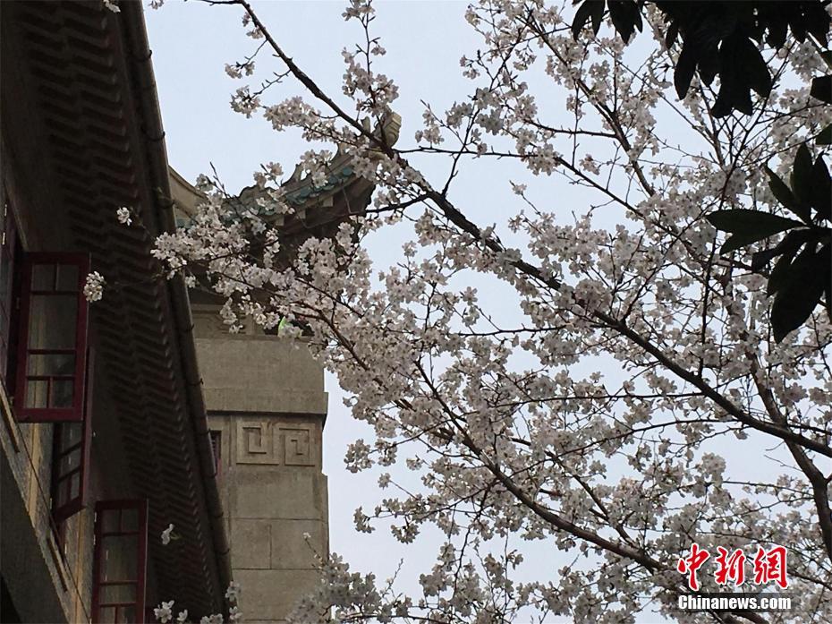 以数字资源建造推进图书馆公共文明服务质量提高
