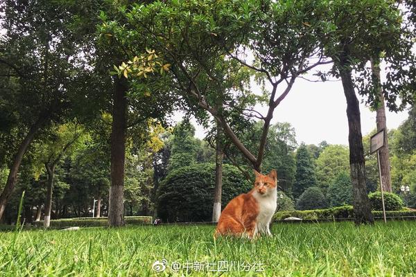 委内瑞拉总统：将视状况保证移民回国