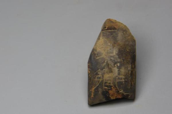 漳浦：情系一线送温暖 新春慰劳传真情