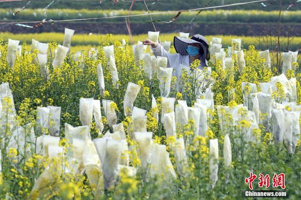 西藏那曲市尼玛县发生3.1级地震 震源深度10公里