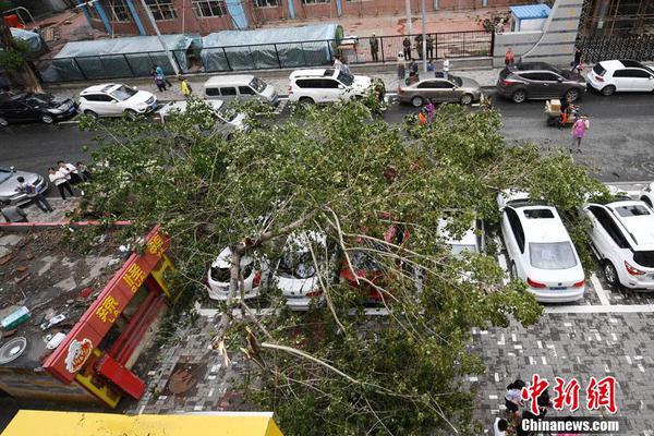 极氪领克整合落地 盯上71万辆年销量方针