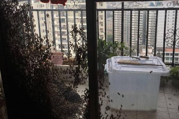 十地消保委联合发布消费提示 提醒消费者守护钱袋子