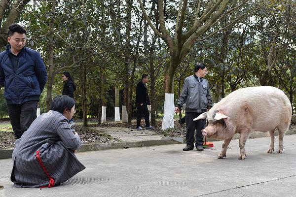 良知、初心与民意（公民论坛）