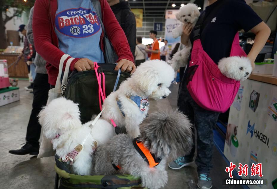 秀我中国丨青海都兰现“泾渭分明”奇观