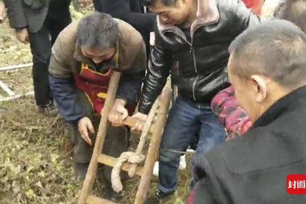 云南年宵花进入销售旺季 “美丽经济”折射美好生活消费潜力