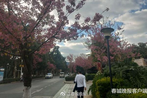 “600元包游6日”藏猫腻 老年人出行时小心踩低价坑