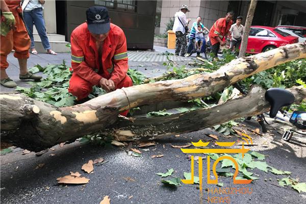 健康迎新春 安全过大年！2025新年健康攻略来了
